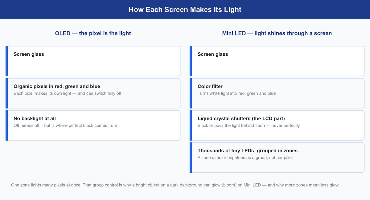 oled vs mini led