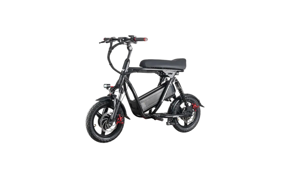 best electric scooter for adults