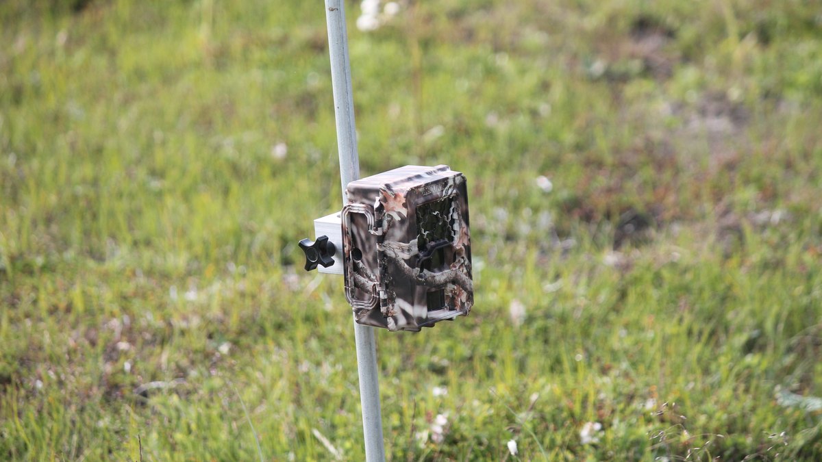 best trail camera